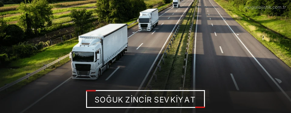 Muğla Frigo Taşımacılık Firmaları Muğla Frigo Taşımacılık Firmaları