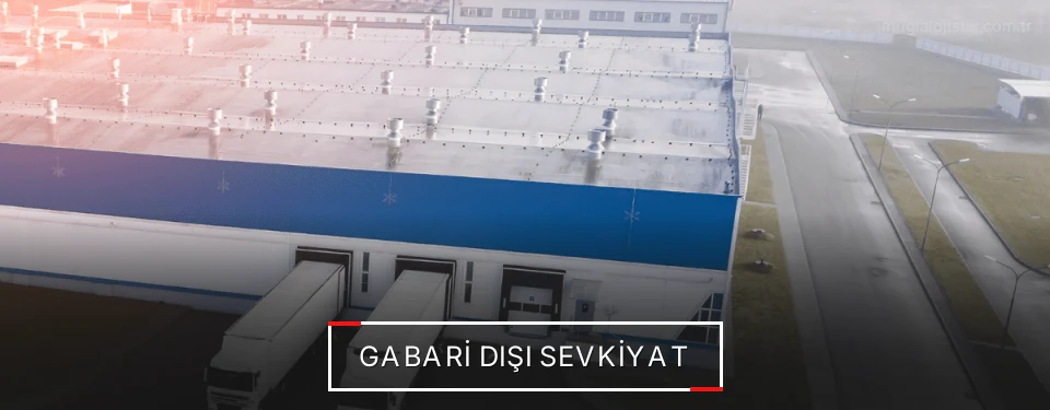 Muğla Gabari Dışı Lojistik Firmaları