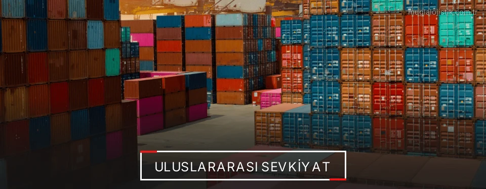 Muğla Uluslararası Karayolu Lojistik Firmaları